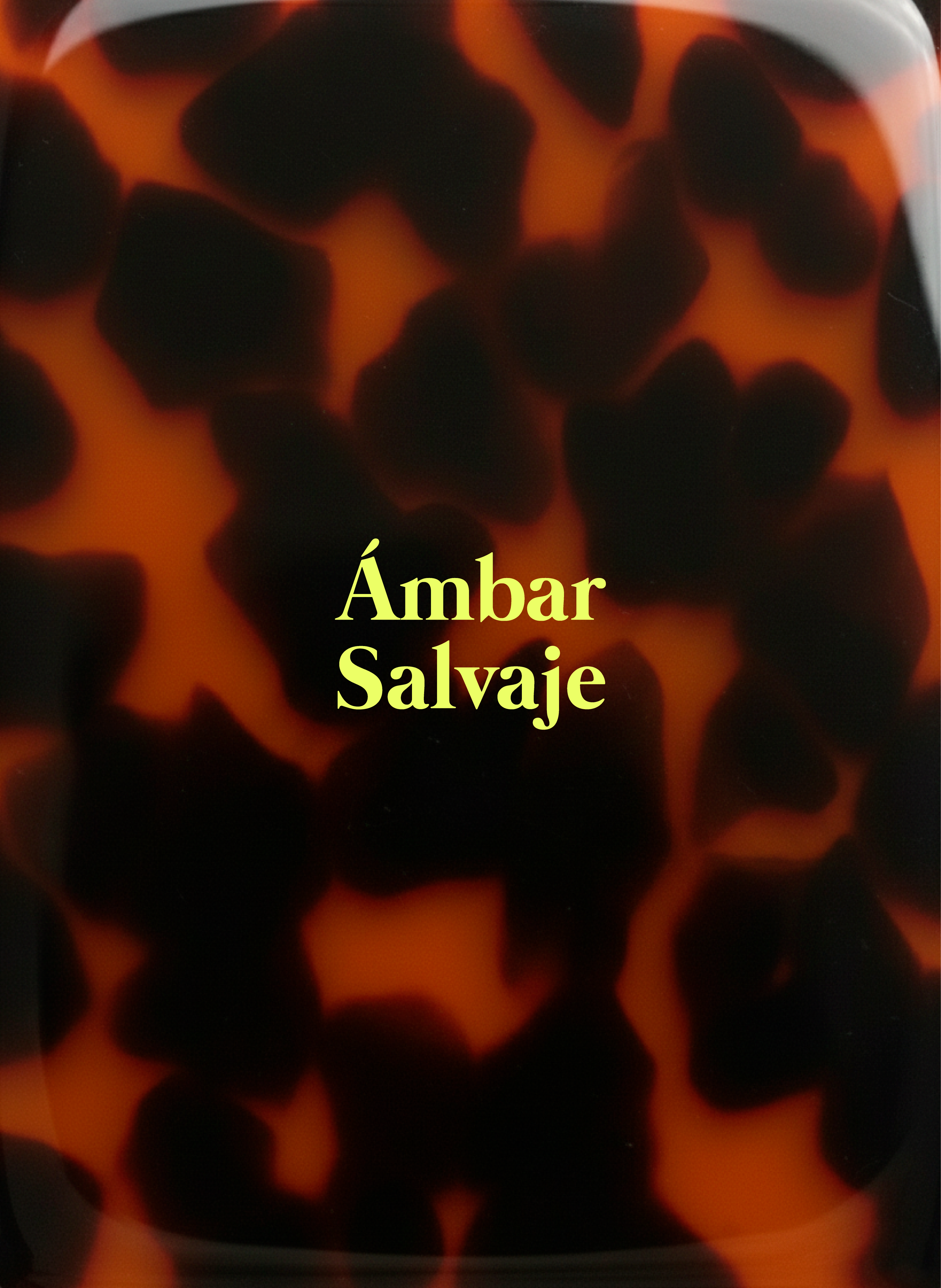 Ámbar Salvaje - Moore Estudio